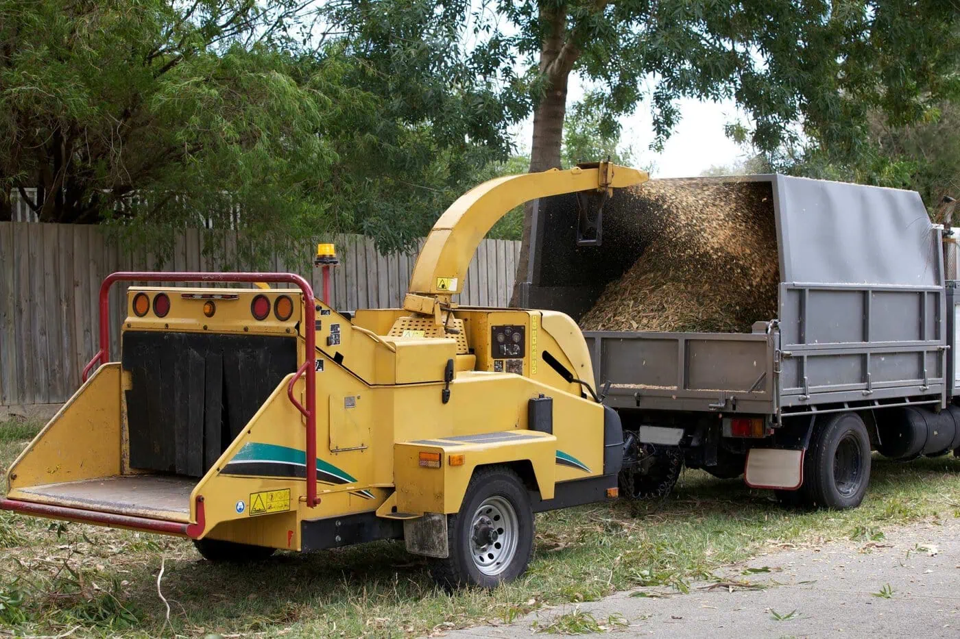 A yellow wood chipper is processing branches and ejecting wood chips into the back of a gray truck parked nearby, with trees and a wooden fence in the background.