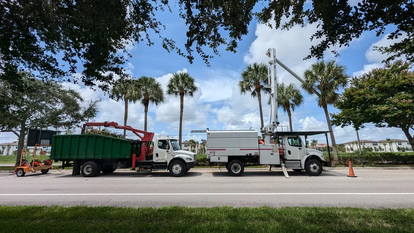 Two utility trucks are parked on a street near palm trees; one truck has a large green container, and the other has a raised boom lift with a worker inside, working on power lines. Orange cones are set up for safety.