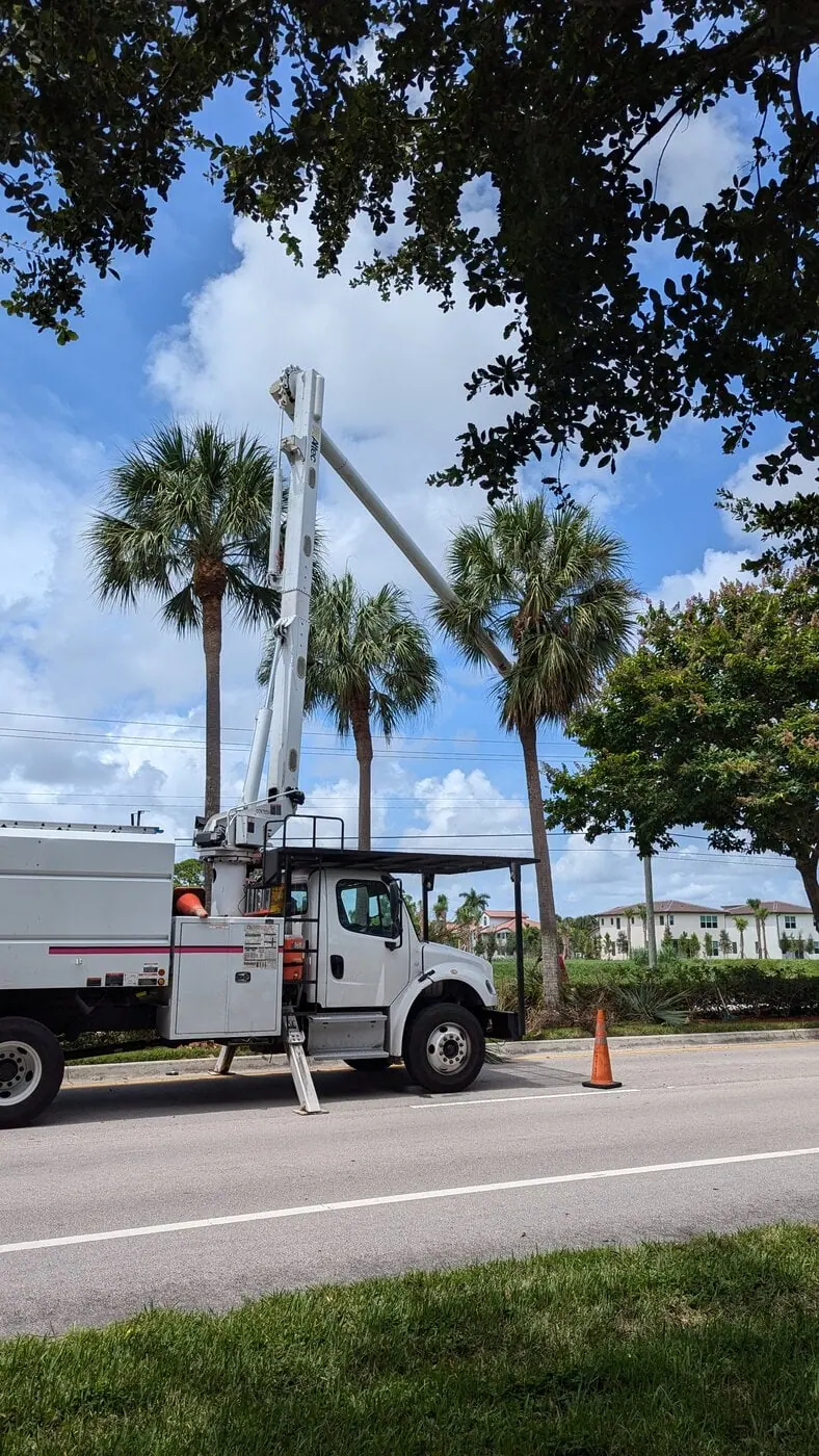 A white utility truck with an extended bucket lift is parked by the roadside near palm trees on a sunny day. Orange safety cones are placed by the truck, and buildings are visible in the background.