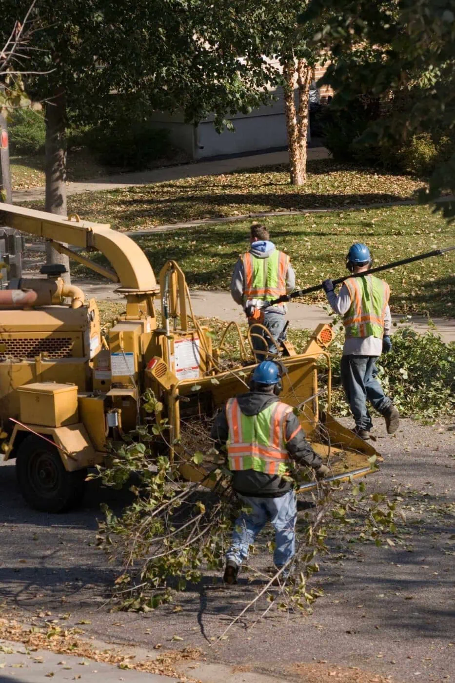 Three workers in safety vests and blue helmets feed tree branches into a yellow wood chipper on a suburban street, surrounded by fallen leaves and trees.