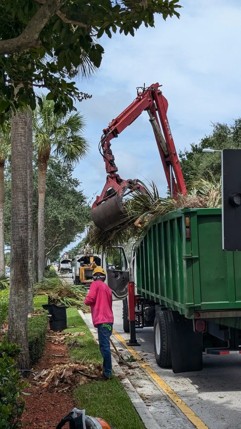 A worker in a pink shirt stands near a green truck while a red excavator loads palm tree debris into the truck on a tree-lined street. Another worker and equipment are visible further down the road.