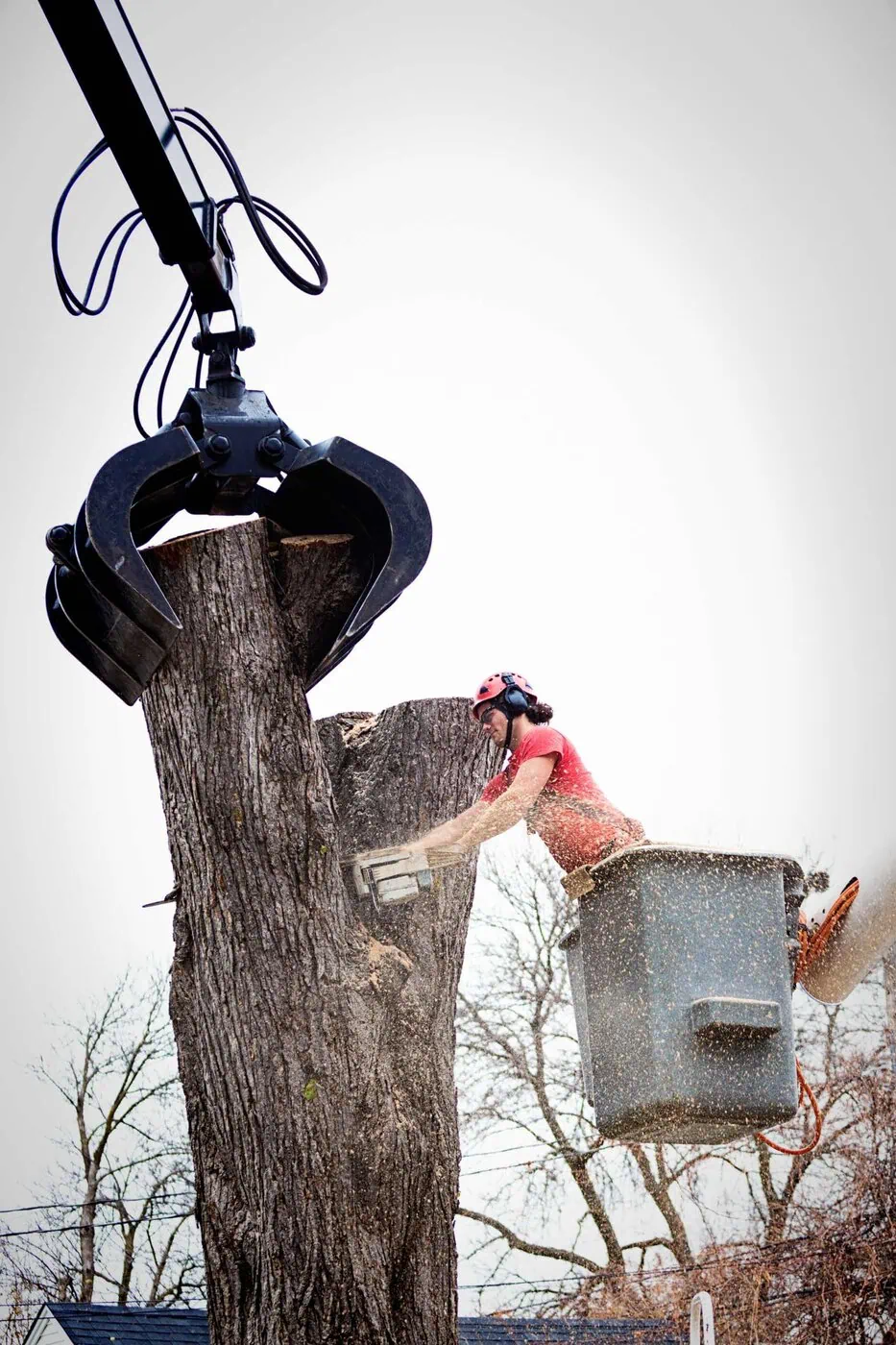 A person wearing safety gear uses a chainsaw to cut a large tree trunk while standing in a raised bucket, as a mechanical claw grips the tree above. Sawdust flies through the air.