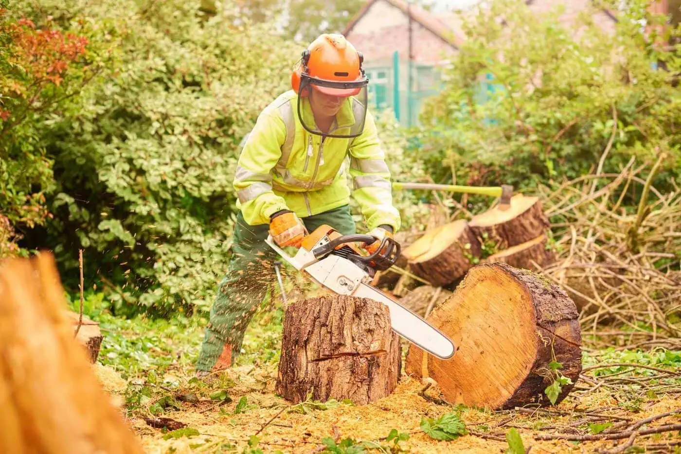 A person wearing safety gear and a helmet uses a chainsaw to cut a large tree trunk outdoors, with wood chips and cut logs scattered around in a green, wooded area.